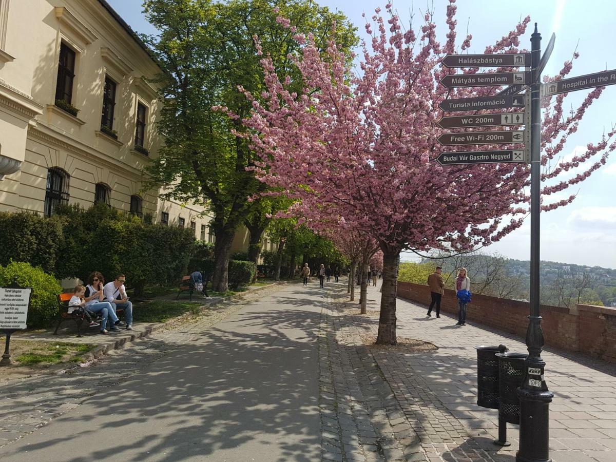Budasmile Appartment At Buda Castle - Aircon & Free Parking Будапеща Екстериор снимка